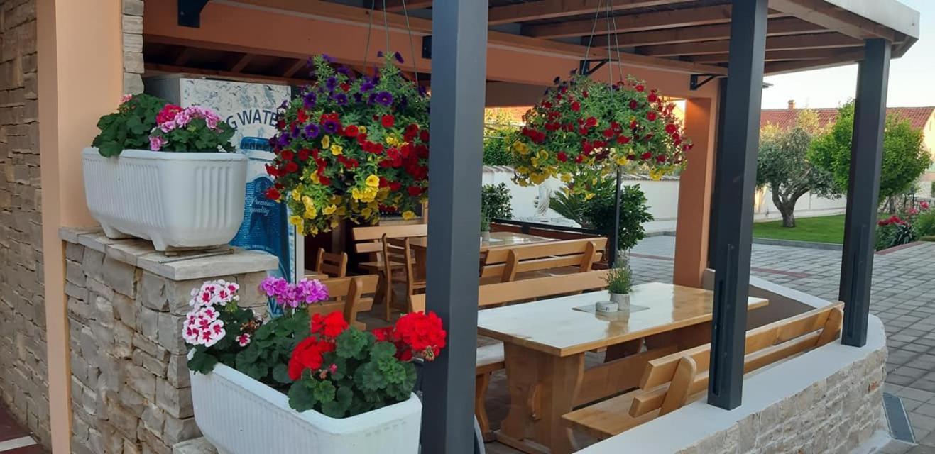 Villa Dalmatina Zadar Mit Pool Екстериор снимка