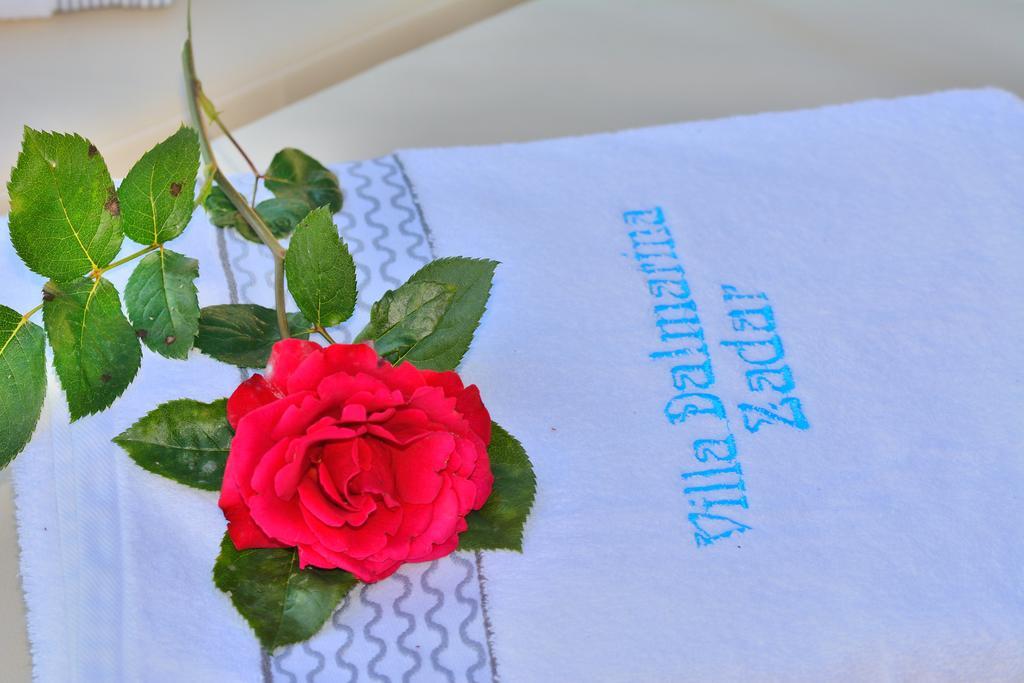 Villa Dalmatina Zadar Mit Pool Екстериор снимка